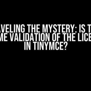 Unraveling the Mystery: Is there Real-Time Validation of the License Key in TinyMCE?